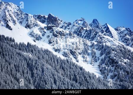 Pentes montagne du Brevent avec des sapins de neige et des pins sur la pente raide pendant la journée d'hiver, région Auvergne-Rhône-Alpes dans le sud-est de la France Banque D'Images