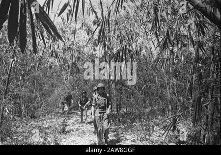 Patrouille 401ème Bataillon d'infanterie à Cheribon En patrouille près de Tandjong (région de Cheribon). Dans la forêt un abri du soleil Date: Septembre 1949 lieu: Indonésie, Java, Pays-Bas Antilles orientales Banque D'Images