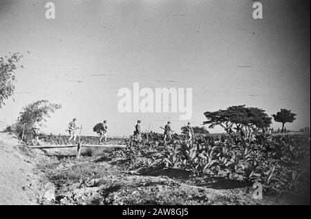 Patrouille 401ème Bataillon D'Infanterie À Cheribon En Patrouille Près De Tandjong (Région De Cheribon) Date : Septembre 1949 Lieu : Indonésie, Java, Pays-Bas Inde Banque D'Images