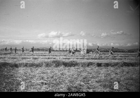 Patrouille 401ème Bataillon D'Infanterie À Cheribon En Patrouille Près De Tandjong (Région De Cheribon) Date : Septembre 1949 Lieu : Indonésie, Java, Pays-Bas Inde Banque D'Images