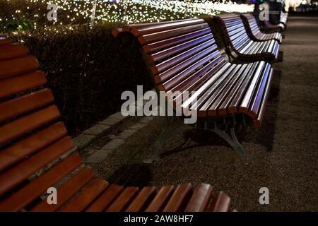 Une rangée de bancs dans la ville parfaitement alignée et allégée par les lumières de Noël de la ville Banque D'Images