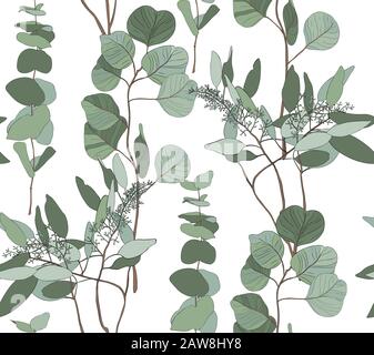 Eucalyptus ensemencés, dollar d'argent, bébé arbre bleu laisse le modèle sans couture Illustration de Vecteur