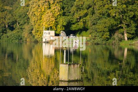 Les couleurs de l'automne commencent à apparaître au lac Shearwater, à Warminster. Banque D'Images