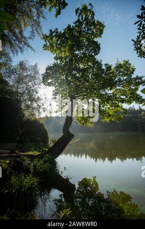 Les couleurs de l'automne commencent à apparaître au lac Shearwater, à Warminster, dans le Wiltshire Banque D'Images