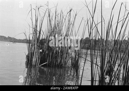 Exercices D'Atterrissage I. Brigade D'Infanterie 7 Décembre Division À Paroeng Date : Juin 1947 Lieu : Indes Hollandaises De L'Est En Indonésie Banque D'Images