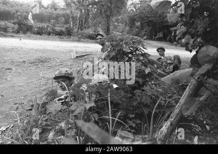 Entrée et avance à Yogya du 1-15 Infantry Regiment [soldats dissimulés arrangement le long du bord d'une route] Date : 19 décembre 1948 lieu : Indonésie, Java, Antilles néerlandaises de l'est Banque D'Images