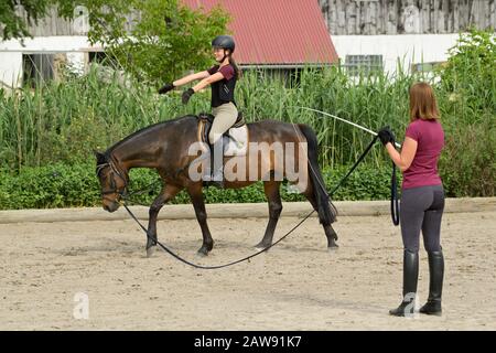 Leçon d'équitation en fente, une fille portant un casque et un protecteur de dos de cheval sur poney allemand Banque D'Images