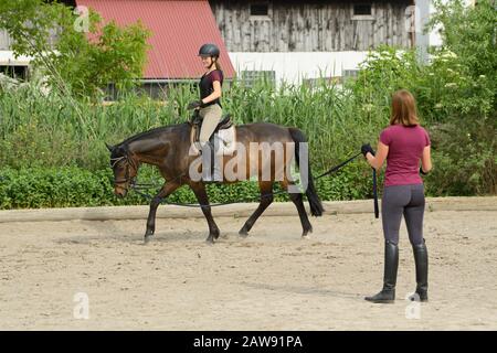 Leçon d'équitation en fente, une fille portant un casque et un protecteur de dos de cheval sur poney allemand Banque D'Images