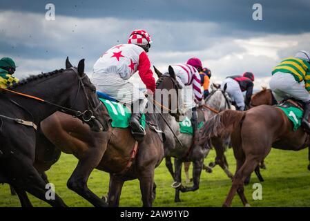 Gros plan sur le groupe de jockeys et de chevaux de course galopant Banque D'Images