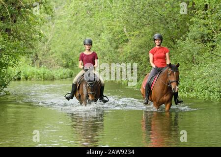 Deux coureurs à l'arrière des poneys qui s'équestres dans un ruisseau Banque D'Images