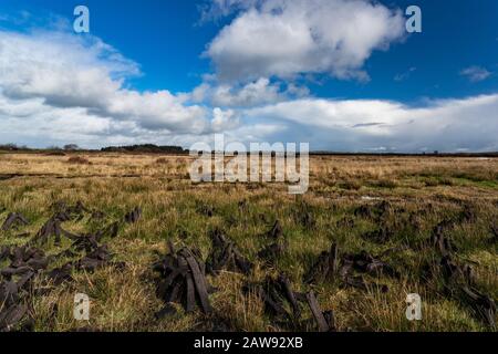 Briques de tourbière cultivées empilées pour le séchage dans le paysage rural irlandais Banque D'Images