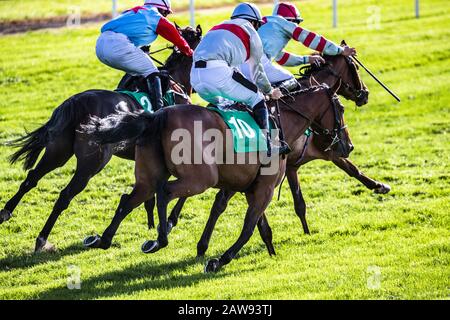 Chevaux de course et jockeys qui sautent vers la ligne d'arrivée Banque D'Images