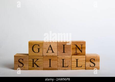 Cubes en bois avec lettrage orthographe Gain compétences. Concept commercial, scolaire ou politique Banque D'Images