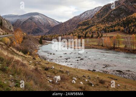 Automne République de l'Altaï rivière Katun Chuya tractus Banque D'Images