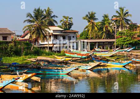 Bateaux de pêche colorés à Negombo, Sri Lanka Banque D'Images