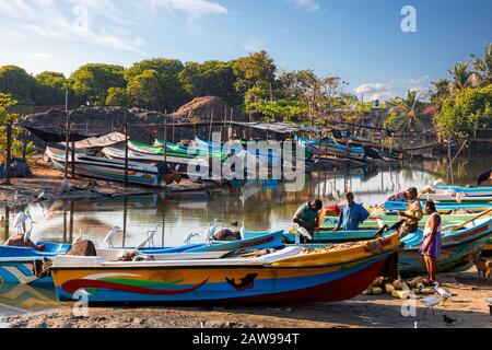 Pêcheurs et bateaux de pêche à Negombo, Sri Lanka Banque D'Images