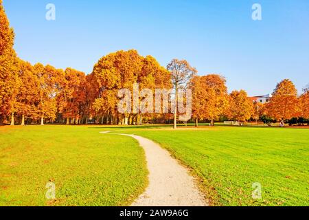 Paysage coloré d'automne - arbres dynamiques dans le parc Mittlerer Schlossgarten (Middle Castle Garden) à Stuttgart Banque D'Images