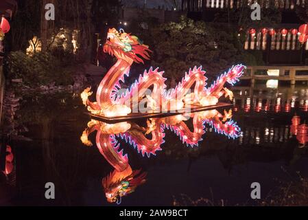 La célébration du nouvel an lunaire chinois aux jardins Lan su de Portland, Oregon, est pleine de lumière et de drame. Banque D'Images