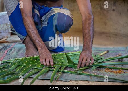 Tissage de feuilles de palmier pour faire du chaume, Sri Lanka Banque D'Images