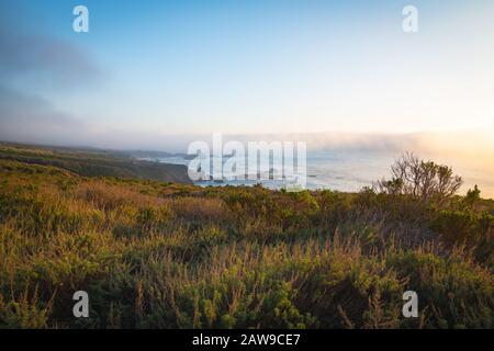 Vallée Du Pacifique Dans La Forêt Nationale De Los Padres. Comté De Monterey, Côte Du Pacifique, Californie Banque D'Images