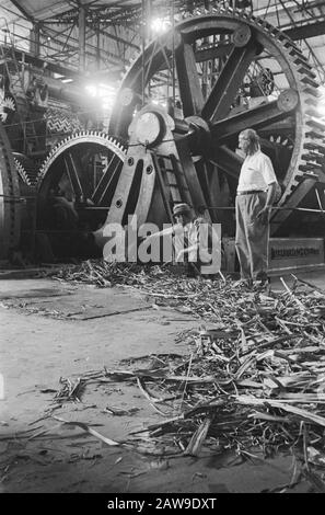 Sindanglaoet Linggadjati Linggadjati: L'usine de sucre Sindanglaoet appartenant à la Société agricole néerlandaise de l'Indes de l'est avec une capacité de 200 kg de canne par minute a été sauvée par l'avance rapide des troupes néerlandaises de destruction totale. Un tuyau de paille sèche de canne à sucre - recouvert de pétrole - fourni comme une mèche aux bombes qui ont été disposées parmi les machines. Date: Juillet 1947 Lieu: Indonésie, Linggarjati, Hollandais East Indies, Sindang Laut Banque D'Images