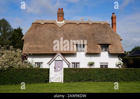 Chalet en chaume, Essex, Royaume-Uni Banque D'Images