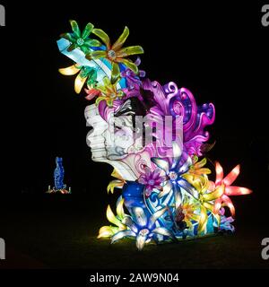 Une exposition de fleurs dans les cheveux lumineux exposition Chiswick House and Gardens Lightopia lumières festival show 2020 après la nuit sombre en hiver Banque D'Images