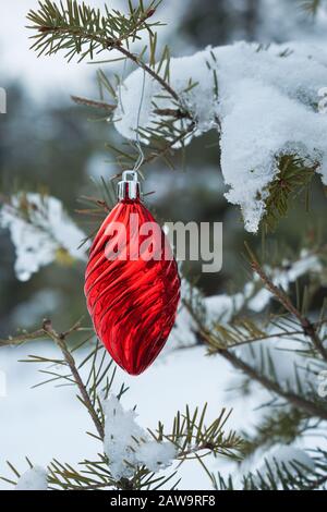 L'ornement de Noël rouge brillant se trouve sur la branche enneigée d'un sapin en forêt Banque D'Images