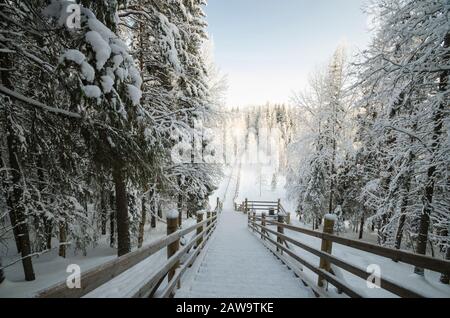 Grand escalier en bois dans un parc d'hiver. Beau paysage d'hiver Banque D'Images