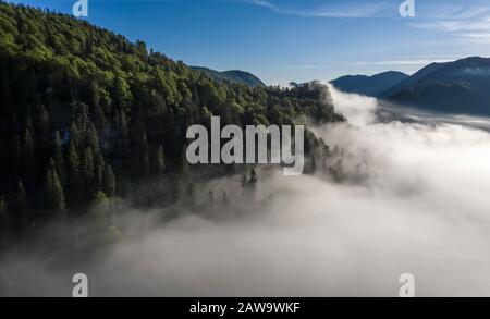 Pente de montagne avec nuages de forêt et de brouillard, brouillard élevé sur le lac Sylvensteinsee, près de Lenggries, Isarwinkel, vue aérienne, Haute-Bavière, Bavière, Allemagne Banque D'Images