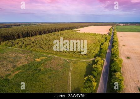 Vue aérienne de la campagne. Le pays direct route le long du domaine Banque D'Images