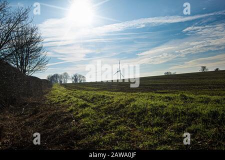 Champs labourés en hiver, avec une éolienne distante et de l'herbe trempée par la rosée en premier plan Banque D'Images