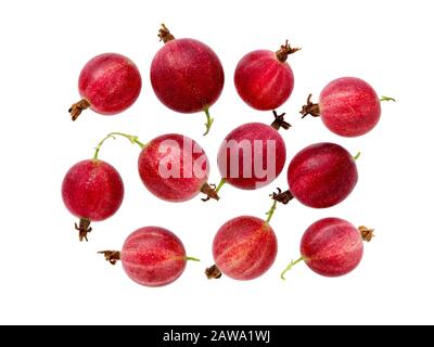 Baies de gooseberries isolées sur fond blanc. Vue de dessus Banque D'Images