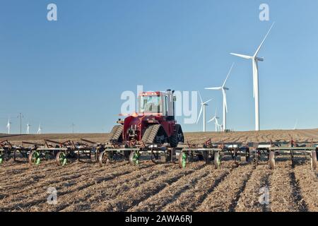 Herse traînante pour tracteur international case IH, champ de blé tendre, parc éolien, lumière du matin, Oregon. Banque D'Images