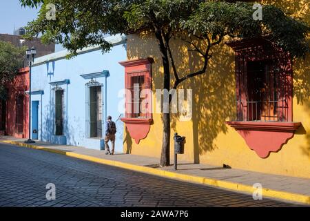 Maisons coloniales colorées d'Oaxaca dans la vieille ville, sur la rue bordée d'arbres soleil éclairé. Oaxaca, Mexique Banque D'Images