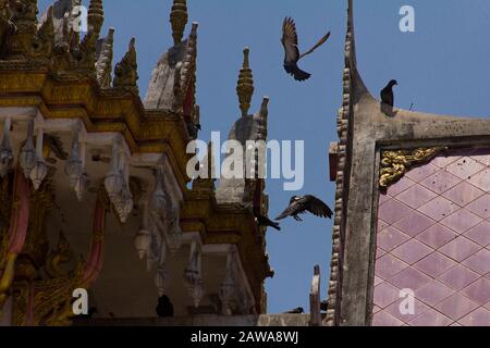 Oiseaux survolant le temple bouddhiste, Ayutthaya, Thaïlande. Banque D'Images