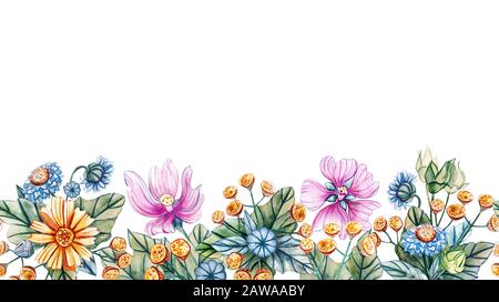 Motif horizontal transparent de fleurs sauvages. Bordure en aquarelle avec daisies, tansy, cornflowers, camomille et mapermettre. Modèle pour texte, carte de vœux Banque D'Images