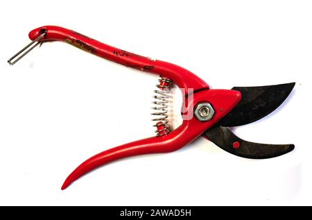 Sécateur sur fond blanc. Ciseaux de jardin. Banque D'Images