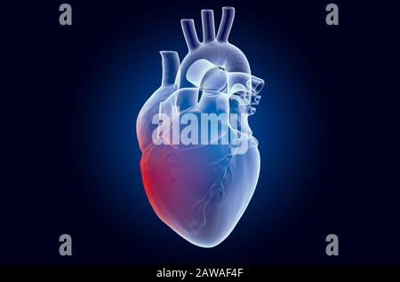 La douleur dans le coeur concept. Effet de lumière fantôme, hologramme de rayons X. Rendu tridimensionnel sur fond bleu foncé Banque D'Images