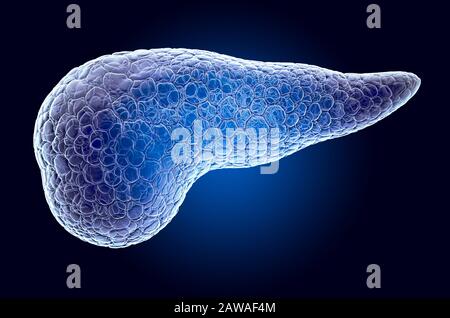 Pancréas, hologramme de rayons X. Rendu tridimensionnel sur fond bleu foncé Banque D'Images