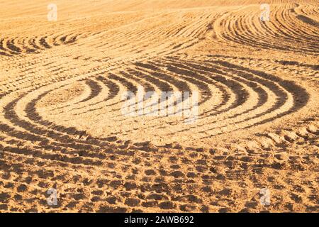 Profil des crêtes courbes et des sillons sur un champ sablonneux. Traces sur le sable. Voies du tracteur Banque D'Images