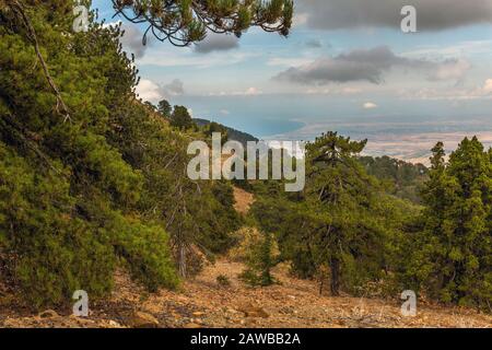 Vue depuis le Mont Olympe, le plus haut sommet de l'île de Chypre. Banque D'Images