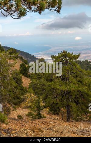 Vue depuis le Mont Olympe, le plus haut sommet de l'île de Chypre. Banque D'Images