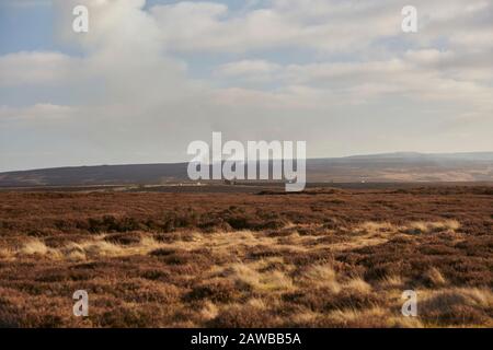 Gardien de but utilisant la combustion contrôlée de bruyère dans le cadre de la gestion de la gélose. North Yorkshire Moors, Angleterre, Royaume-Uni, GB. Banque D'Images