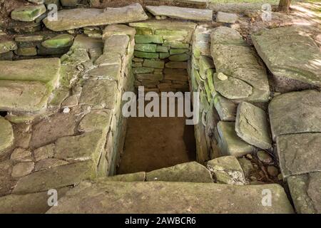 Tombeau ouvert, Nim Li punit, ruines mayas, Autoroute du sud, district de Toledo, Belize Banque D'Images