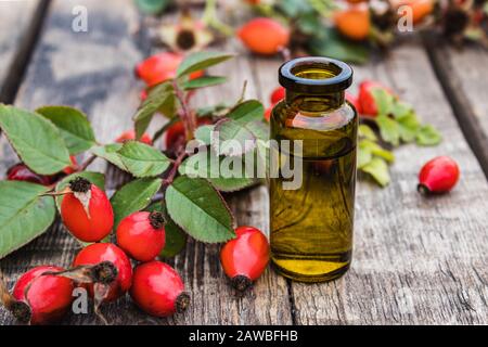 Bouteille de verre d'huile essentielle de rosehip avec des rosehips frais sur une table en bois. Teinture ou huile essentielle avec les hanches roses. Spa de la médecine à base de plantes. Banque D'Images