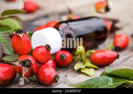 Huile essentielle de la graine de rosehip dans un flacon près de baies mûres de rosehip rouge. Teinture ou huile essentielle avec les hanches roses. Spa de la médecine à base de plantes. Banque D'Images