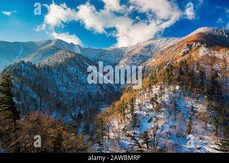 Les paysages spectaculaires du parc national de Seoraksan en Corée du Sud sont à couper le souffle, surtout en hiver. Banque D'Images