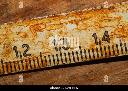 Ancienne règle rouillée avec numéros noirs sur une table en bois en état de marche. Ruban de mesure vintage gros plan. Milieu industriel. Atelier de menuiserie Banque D'Images