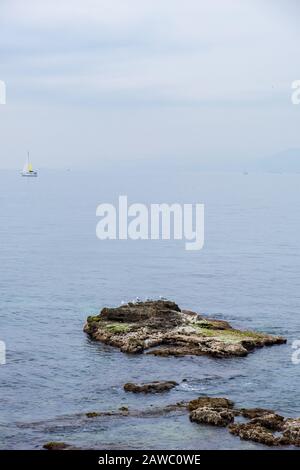 Des mouettes assis sur la roche dans l'eau de mer bleue, une journée misteuse avec voilier au loin. Image verticale avec espace de copie. Voyage, vacances, peur Banque D'Images